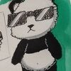 coolpanda4215